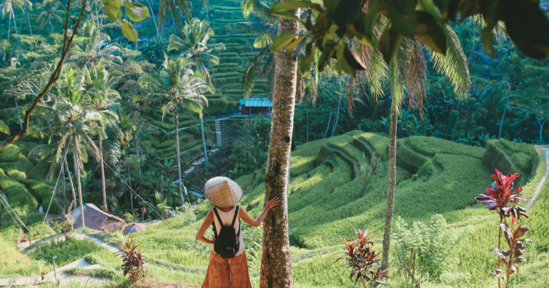 paisaje-indonesia