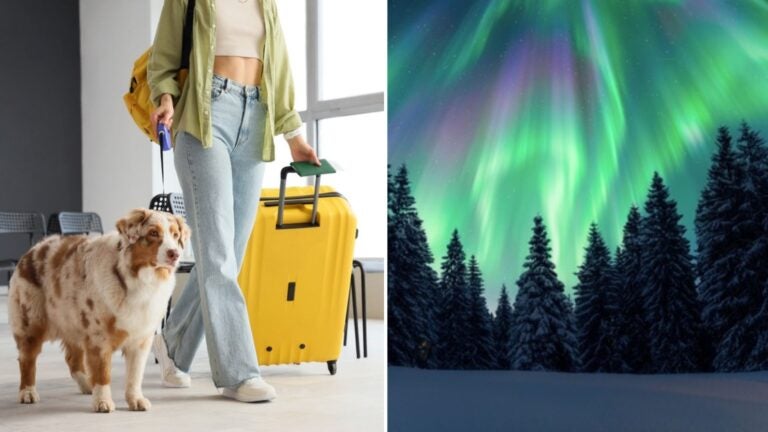 viajar-mascotas-paisaje-finlandia