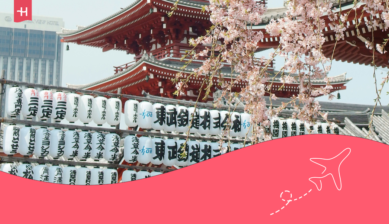 Holafly contenido sobre intercambio de Japón desde España