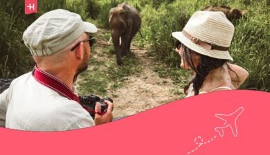 Artículo: Safari en Sri Lanka