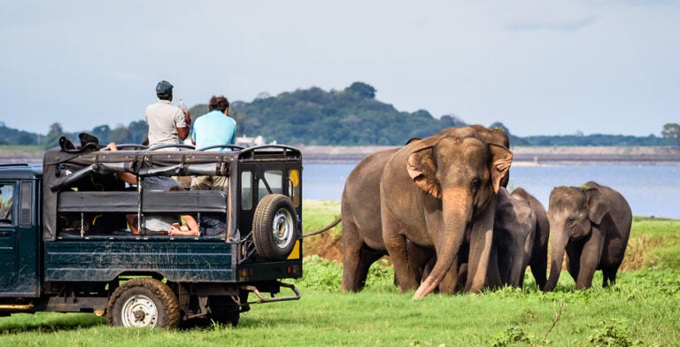 Madre elefante con sus bebes en el Parque Nacional de Minneriya cerca del parque Kaudulla, safari en Sri Lanka
