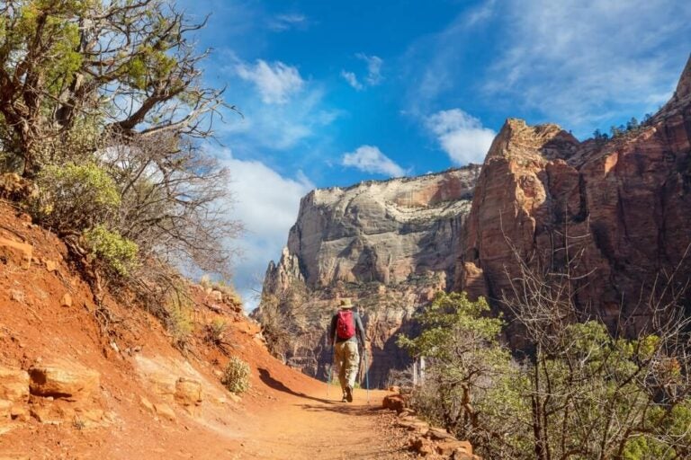 Caminerias dentro del Parque Nacional Zion para senderismo.