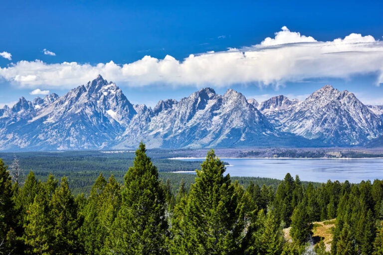 Vista panorámica de las montañas, bosques y lagos del Parque Nacional Grand Teton en Estados Unidos