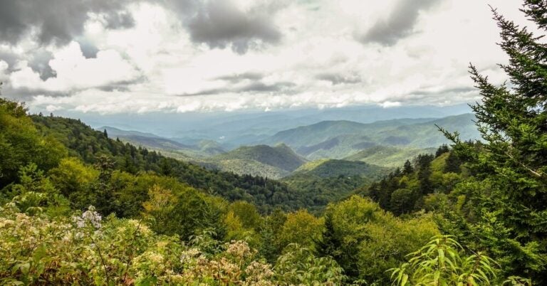 Vista de un sector del Parque Nacional Great Smoky Mountains