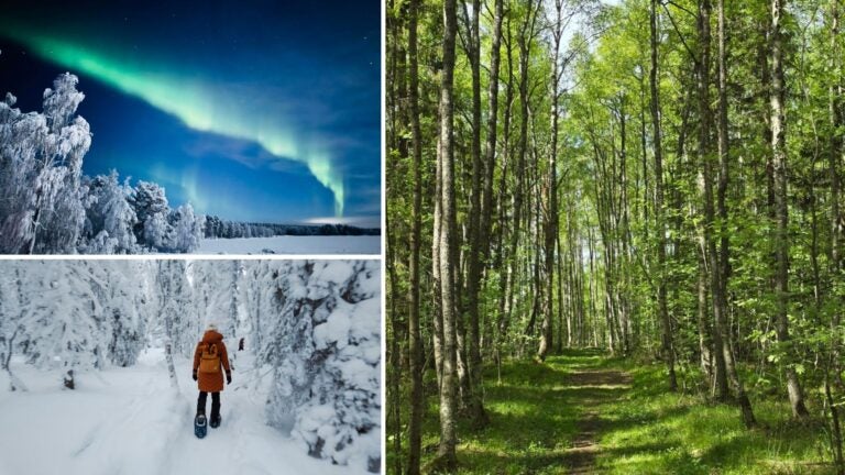 consejos-para-viajar-a-finlandia
