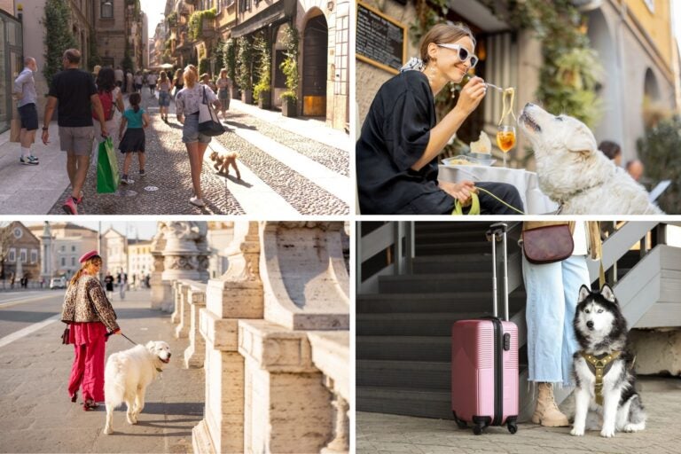 Unos turistas con sus perros paseando por Italia.