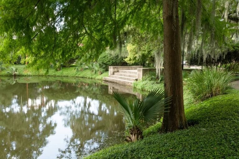 El City Park de Nueva Orleans es famoso por albergar la mayor arboleda de robles centenarios del mundo, algunos con más de 800 años de antigüedad.