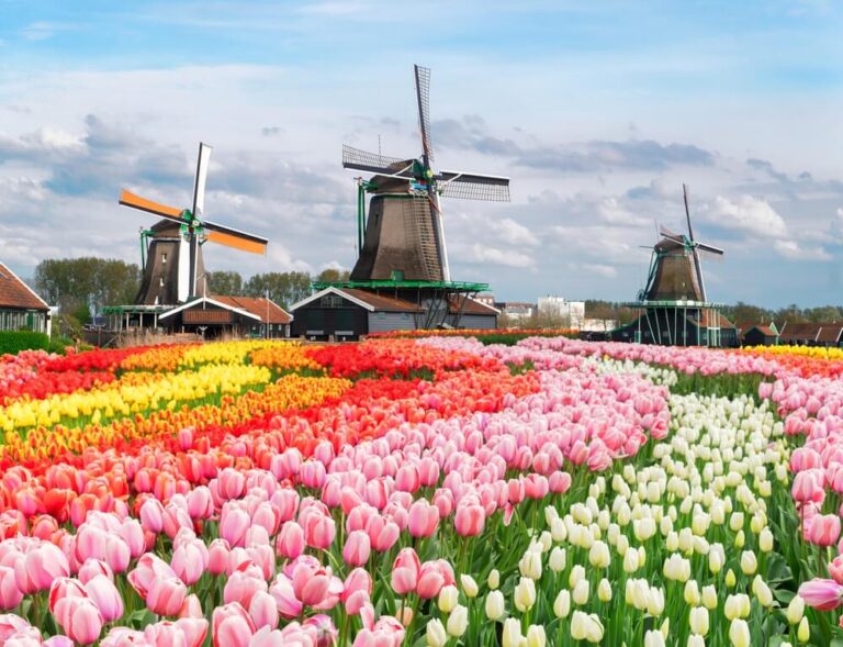 Zaanse Schans recrea fielmente la vida, la arquitectura tradicional de madera y la actividad industrial de la región del río Zaan durante los siglos XVIII y XIX.