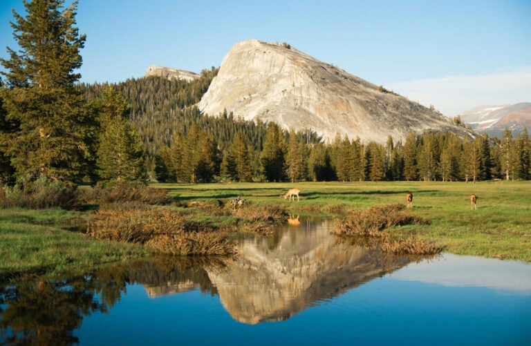 Paisaje escénico de Tuolumne Meadows