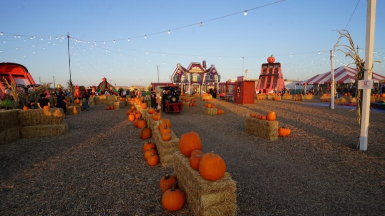 En Las Vegas y sus alrededores hay famosos campos de calabazas y huertos de otoño ideales para celebrar Halloween en familia y escoger la calabaza perfecta.