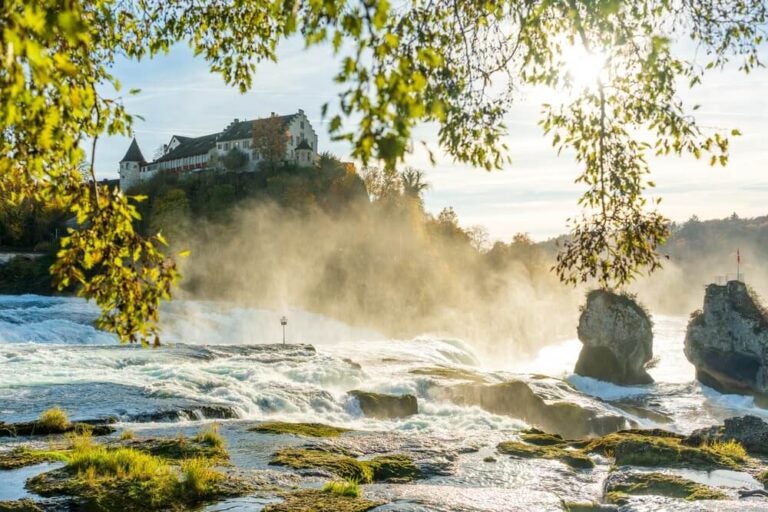 Las Cataratas del Rin (Rheinfall) son el salto de agua más grande de Europa Central, ofreciendo un espectáculo natural de una fuerza y un estruendo sobrecogedores.