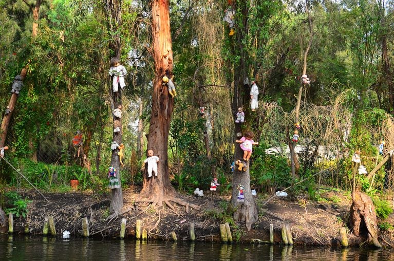 Muñecas exhibidas en la Isla de las muñecas