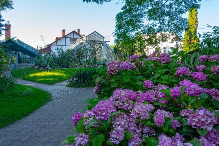 Jardín Botánico Alexandru Borza