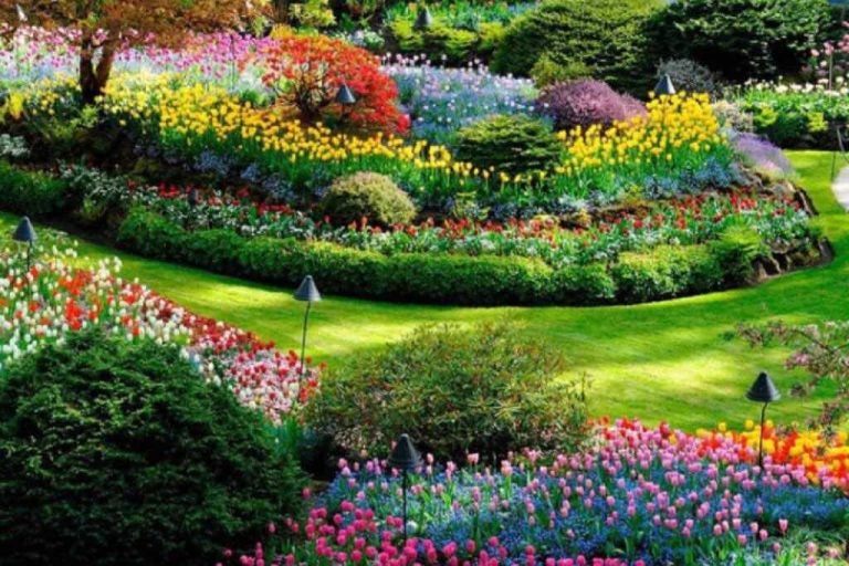 meilleure-saison-voyager-canada-internet-holafly