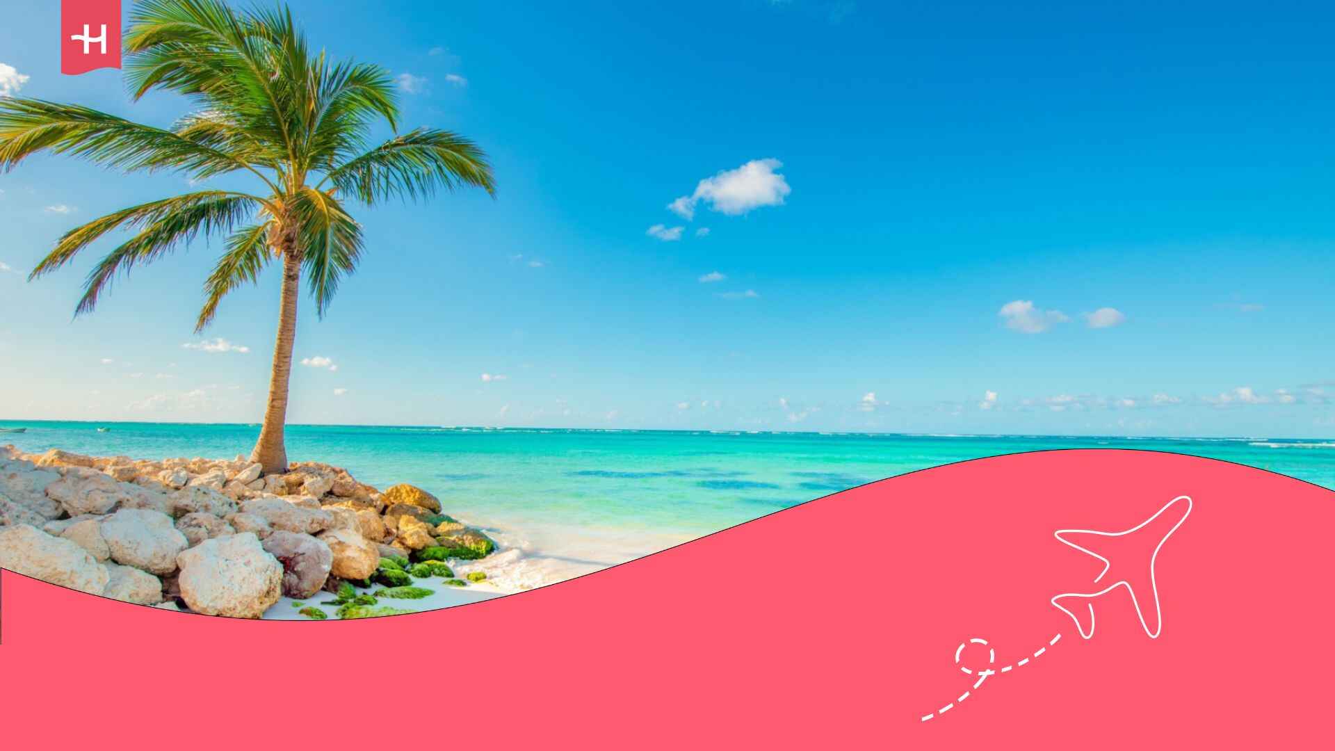 Un palmier sur une plage de sable blanc et faisant face à une mer turquoise à Punta Cana, Répoublique dominicaine