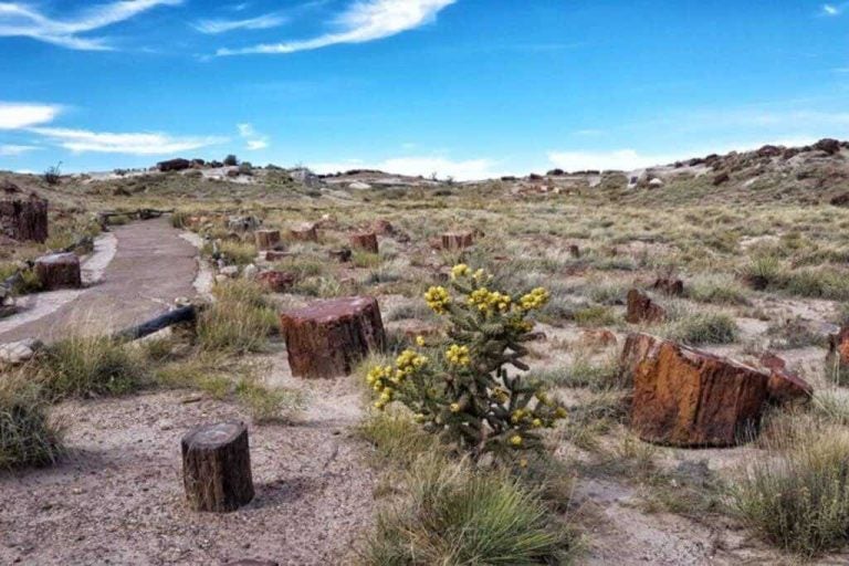 guide-route-66-internet-holafly