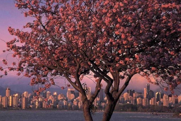 meilleure-saison-voyager-canada-internet-holafly.