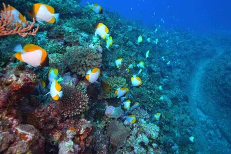 plages-japon-internet-holafly