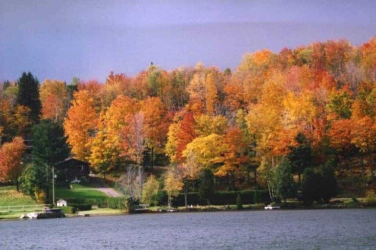 que-voir-faire-canada-internet-holafly