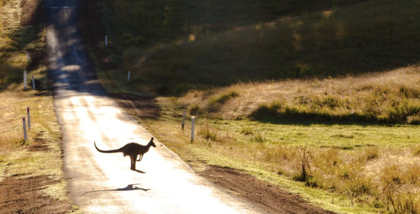 carte sim australie prépayée internet holafly