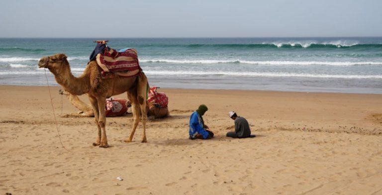 esim maroc - le voyageur holafly