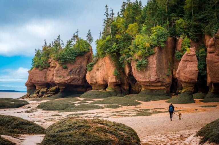Une femme promenant son chien sur la baie Fundy à marée basse, dans la région du Nouveau-Brunswick au Canada
