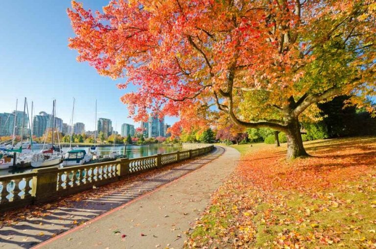 Promenade en automne depuis le Stanley Park à Vancouver