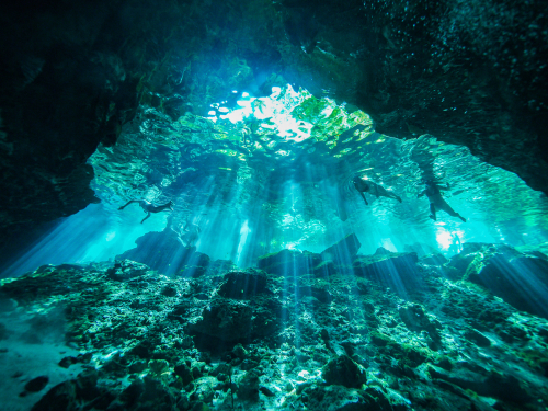 Plongée sous-marine dans un cénote, grotte sous-marine au Mexique
