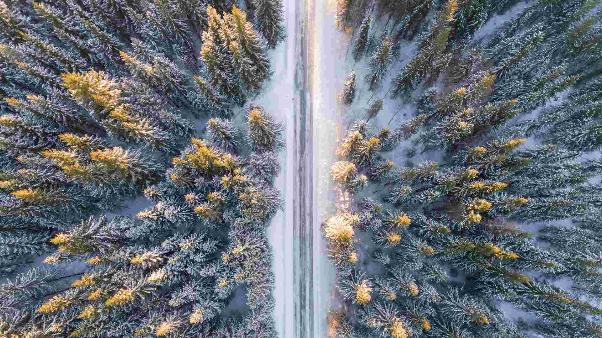 Vue aérienne d'une route traversant une forêt de sapins enneigés