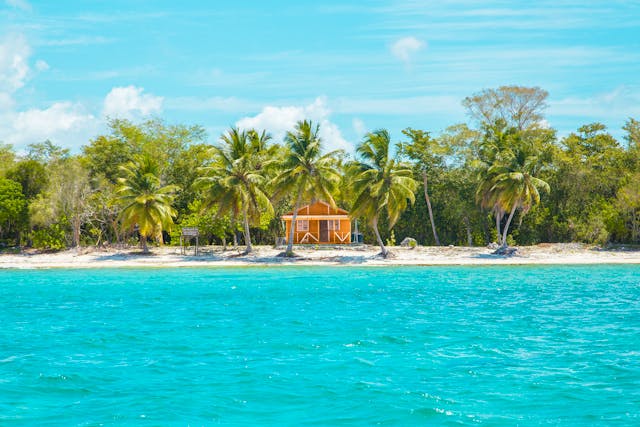 Un bungalow en bois entouré de cocotiers sur une plage de sable blanc en République dominicaine