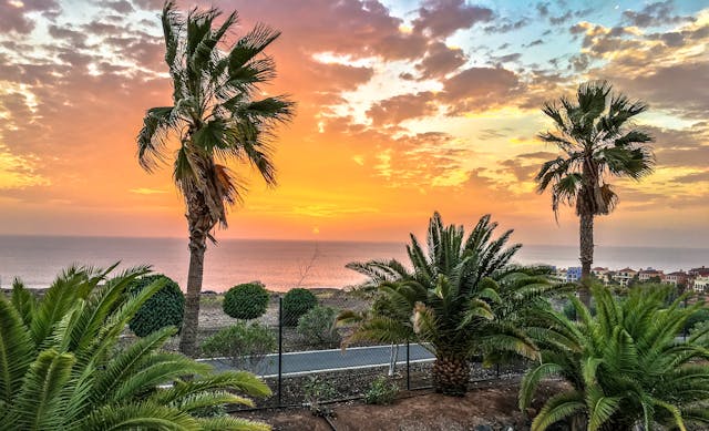 Des palmiers bordant une route en bord de mer au coucher du soleil aux îles Canaries