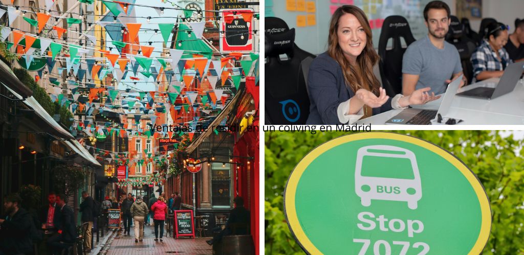 raisons séjour coliving à Irland, Dublin