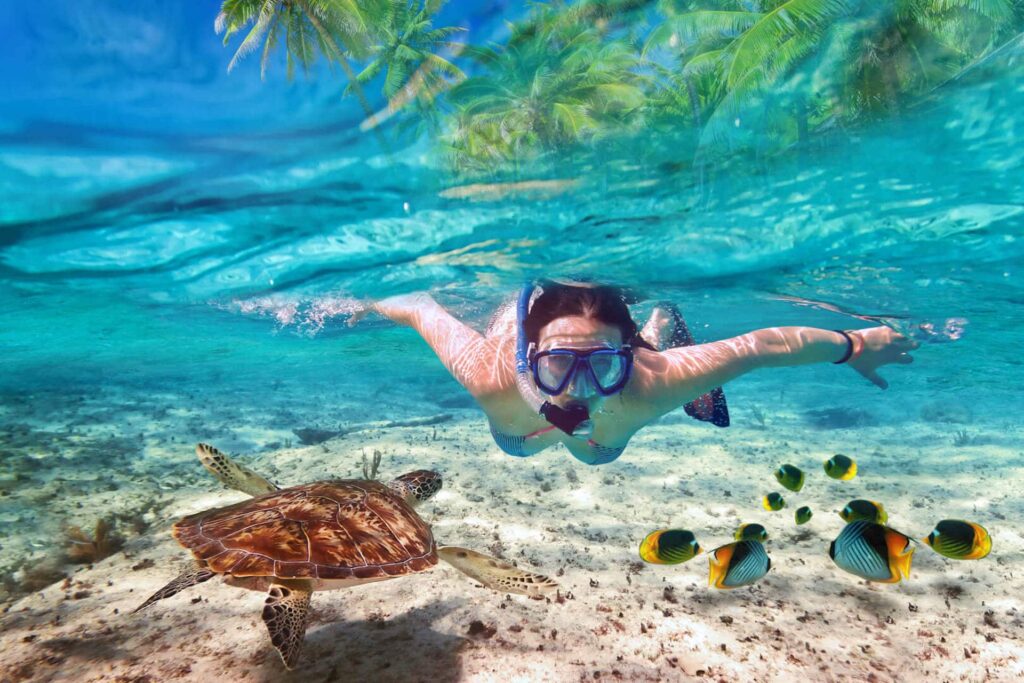 Snorkeling à Zanzibar en décembre