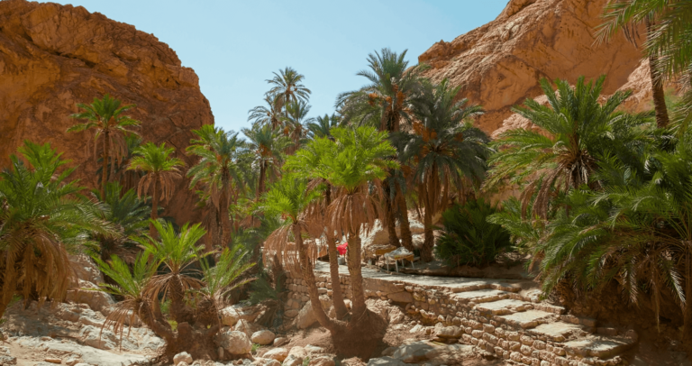 Parcourez l'oasis montagneuse au sud de Tunis