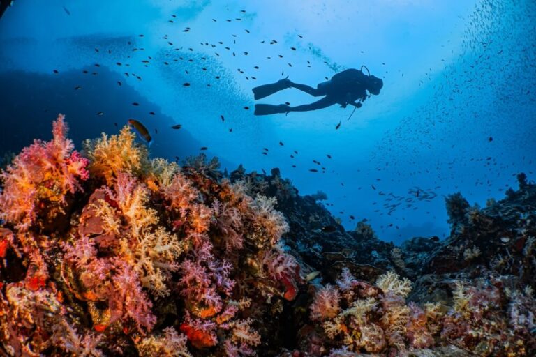 Que faire à Phuket en famille ? une sortie snorkeling sur Coral Island