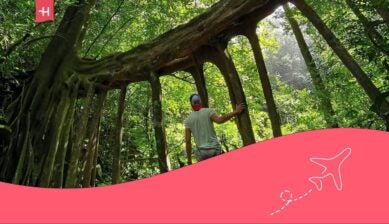 conduire au costa rica