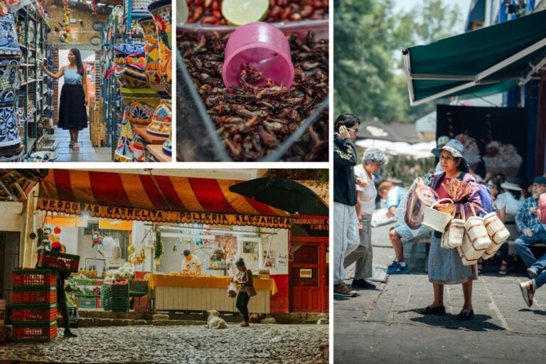 Stands dans les marchés traditionnels mexicains proposant des légumes, des insectes ou des sacs régionaux.