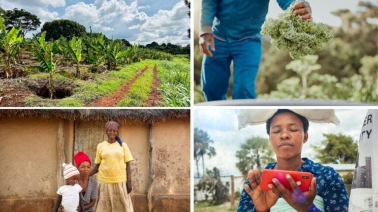 volontariat au Kenya, Afrique volontariat au Kenya, Afrique