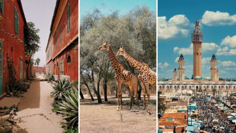 volontariat au sénégal