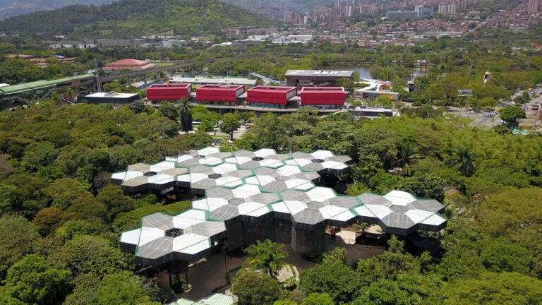 Visiter le jardin botanique de Medellín, c'est découvrir un havre de paix et de détente