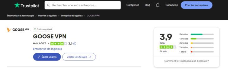 avis sur goose vpn