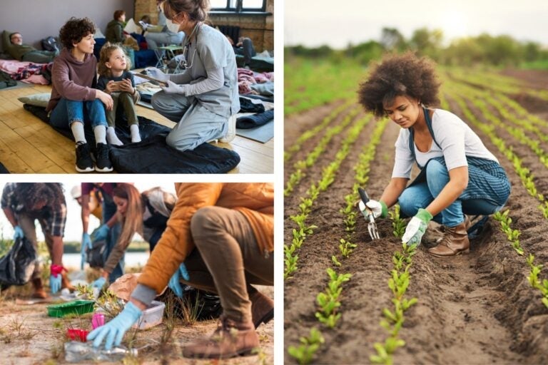 plusieurs volontaires participant à différents projets comme l’agriculture, la collecte de déchets ou les services de santé