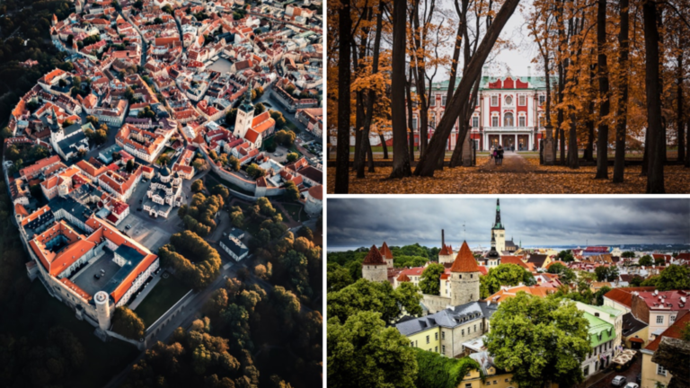 calidad-de-vida-en-estonia qualité-de-vie-en-Estonie