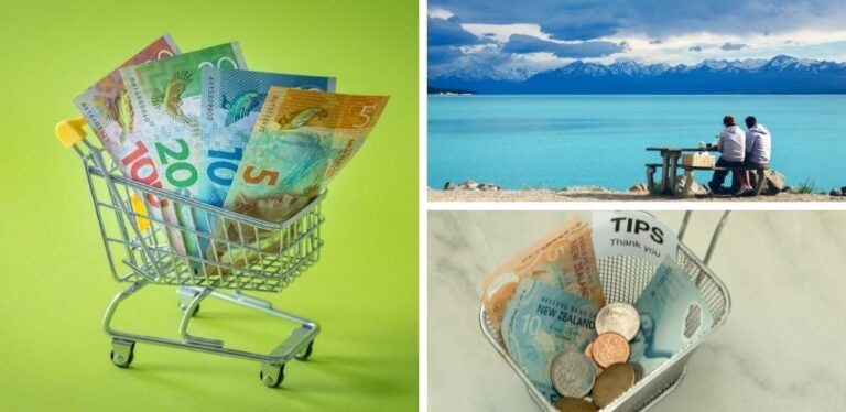 voyageurs en pique-nique au lac pukaki, panier de courses en nouvelle-zélande et pourboires au restaurant