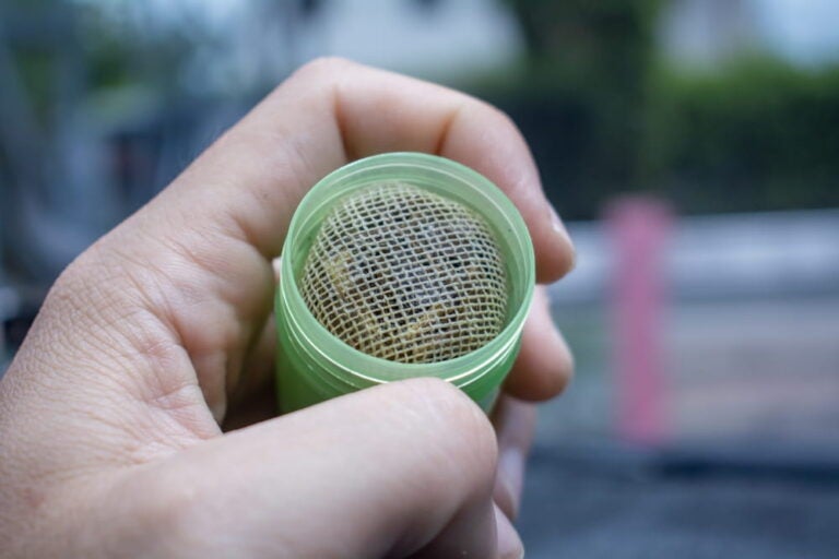 Inhalateur aux plantes ya dom, souvenir de Thaïlande