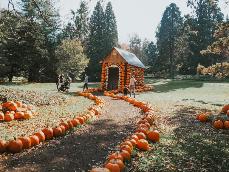 eSIM EUA, internet estados unidos, chip estados unidos, roaming estados unidos