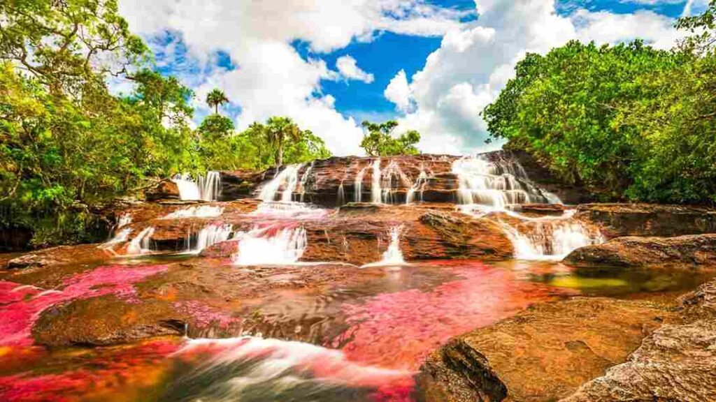 Serrania de las Macarenas, colombia