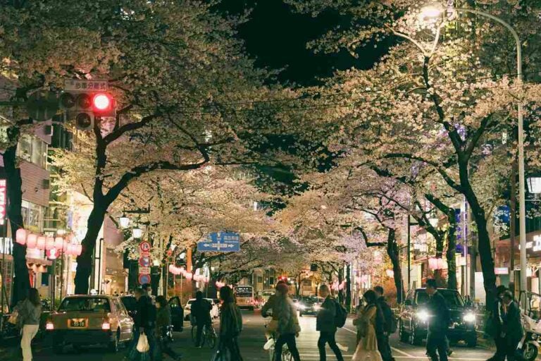 pessoas caminhando por uma via no Japão