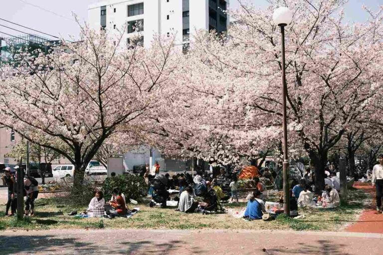 pessoas fazendo piquenique em um parque no Japão