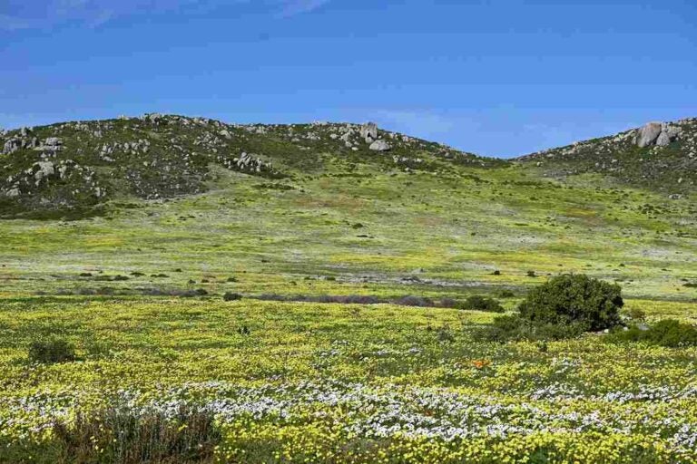 A África do Sul durante a primavera fica ainda mais bela. Fonte: Unsplash.